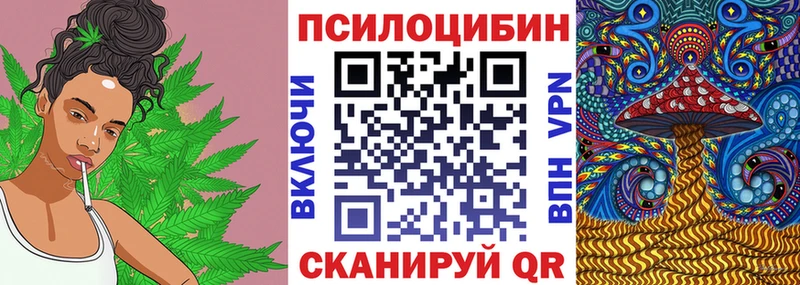 купить   Лыткарино  Псилоцибиновые грибы мухоморы 